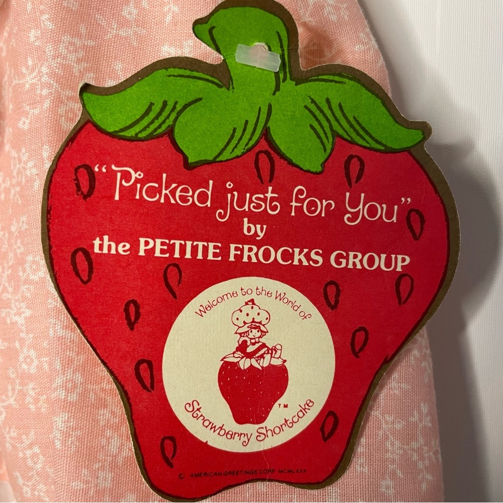 Strawberry Shortcake And Custard Outfit 1980 AMERICAN GREETINGS CORP Union 6M - Picture 14 of 16